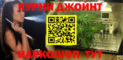 шишки Можайск
