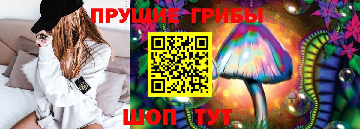 Владимир  Псилоцибиновые грибы Psilocybe  Вход с VPN 